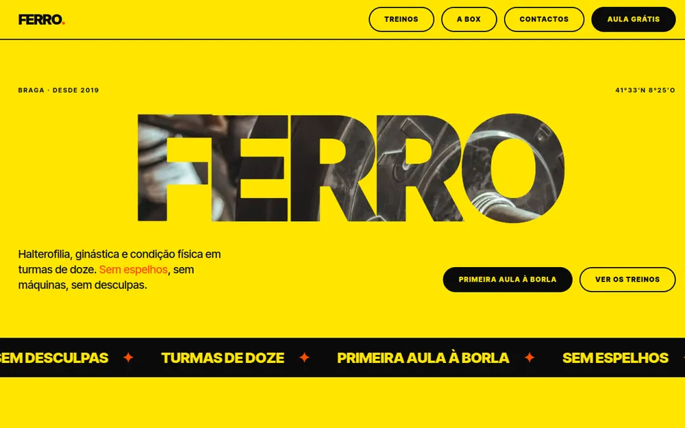 Pré-visualização do site FERRO